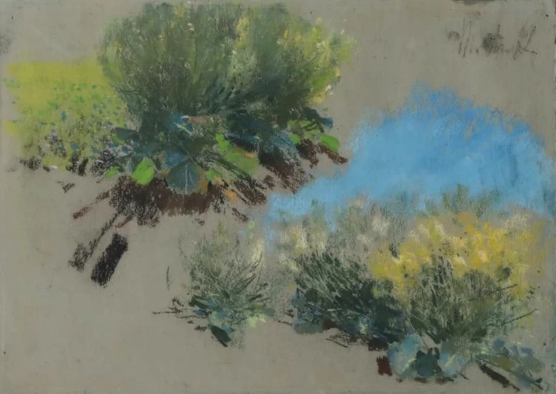 Francesco Paolo Michetti - 196, Studio di cespugli